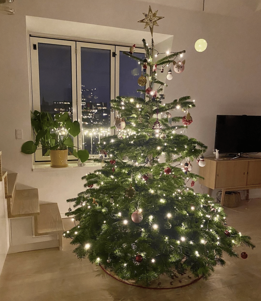 Juletræet i hytten, 2020 💚